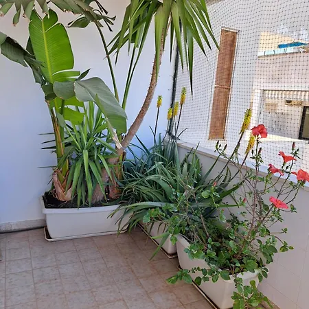 Gallybi Apartamento Gallipoli